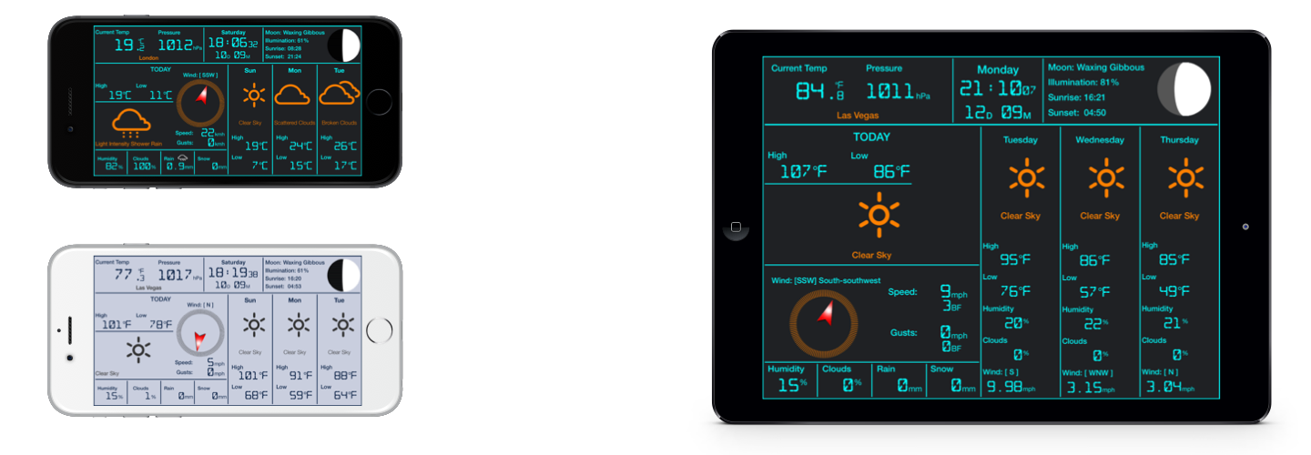 Local Digital Weather Station Pro